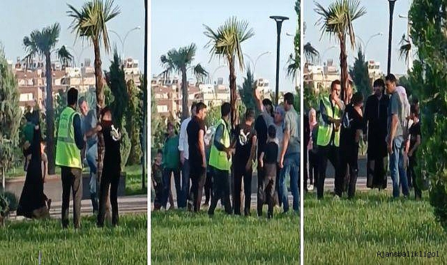 Şanlıurfa’da parktaki ağaç ateşe verildi! 