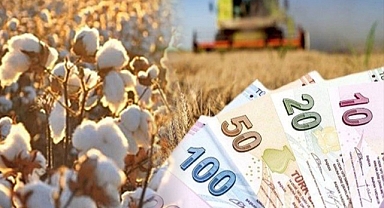 Şanlıurfa'da preseli pamuk kaç liradan satıldı?