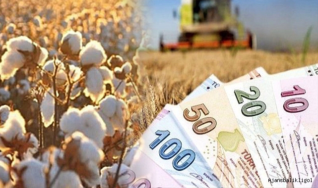 Şanlıurfa'da preseli pamuk kaç liradan satıldı?