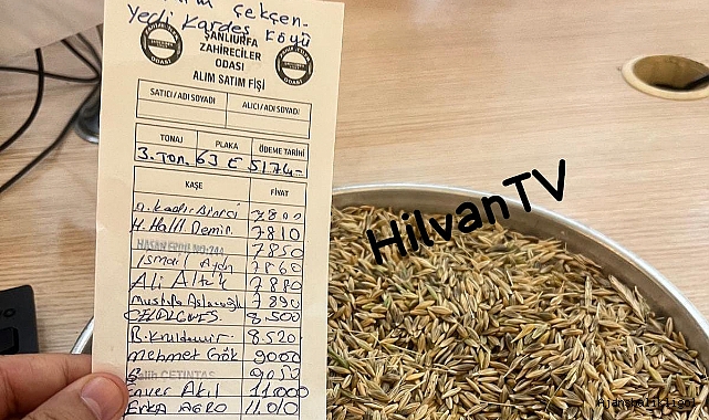 Şanlıurfa'da yeni mahsul arpa çıktı! İşte fiyatı