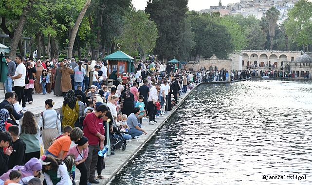 TÜİK açıkladı! Şanlıurfa birinci sırada
