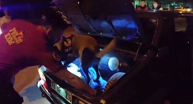 Urfa’da ‘Narkotik Alan Denetimi’ uygulaması yapıldı! 310 personel katıldı