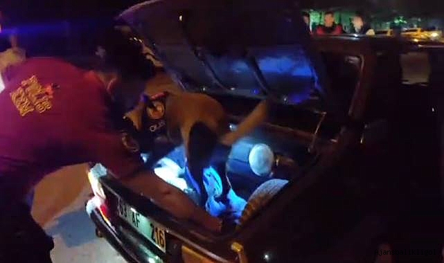 Urfa’da ‘Narkotik Alan Denetimi’ uygulaması yapıldı! 310 personel katıldı