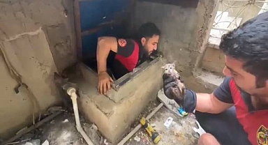 Urfa’da su deposuna düşen yavru kediyi itfaiye ekipleri kurtardı