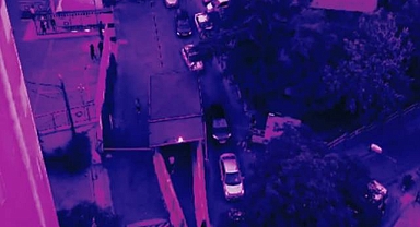 Urfa dahil 74 ilde operasyon! Yüzlerce silah ele geçirildi 