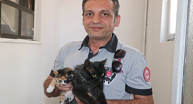 Doğumunu yaptırdığı kedi ile yavrularını sahiplendi 