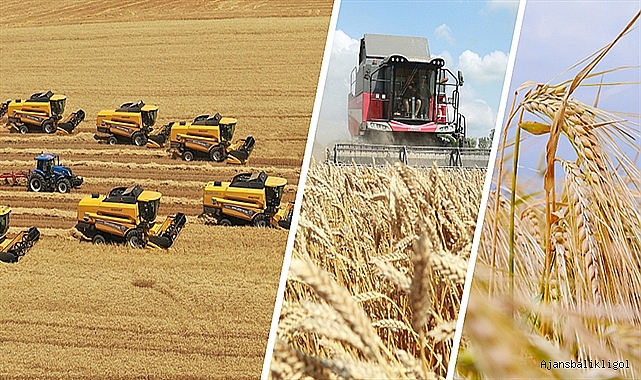 Hasat öncesi arpa, buğday, mısır ve mercimek fiyatları