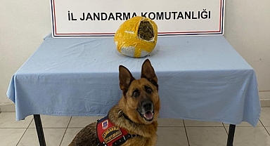 Hilvan'da yüklü miktarda uyuşturucu ele geçirildi! 1 tutuklama 