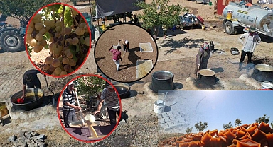 Hilvan Hasenik Pestili'nin coğrafi işaretli alındı