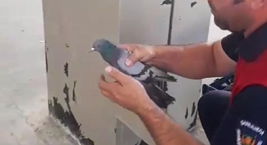 Kolonda sıkışınca yardımına itfaiye koştu