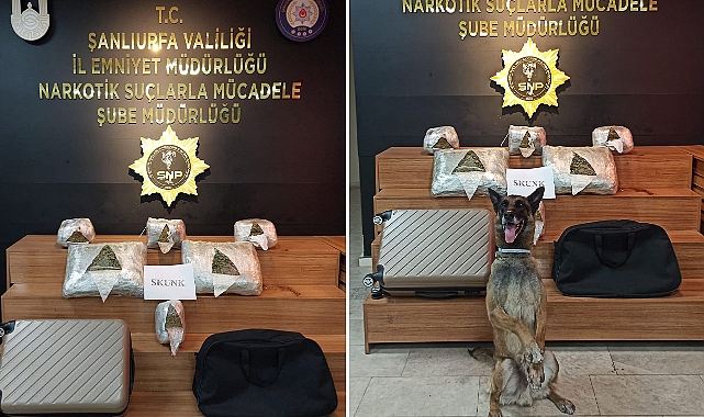 Şanlıurfa’da kilolarca uyuşturucu ele geçirildi! 
