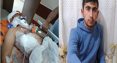 Şanlıurfa’da köpekleri besleyen gençten acı haber!  