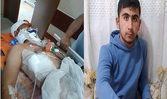 Şanlıurfa’da köpekleri besleyen gençten acı haber!  