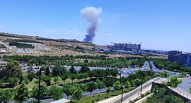 Şanlıurfa'da mera yangını!