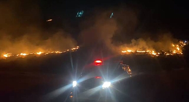 Şanlıurfa'da orman yangını! Çok sayıda ekip sevk edildi 