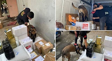 Şanlıurfa’da uyuşturucu ile mücadele devam ediyor! 