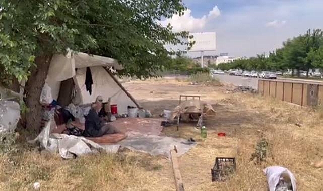 Şanlıurfa'da yaşlı çift sokakta kaldı