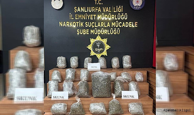 Urfa’da bir araçta uyuşturucu madde ele geçirildi! 1 gözaltı 