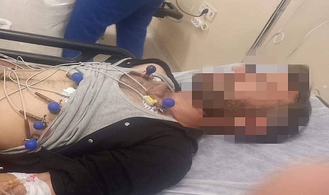 Urfa’da bir şahsı tuvaletten çıkan yılan ısırdı! 