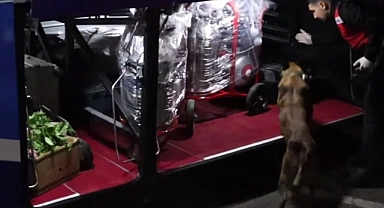 Urfa'da jandarma harekete geçti! Tam 270 personel katıldı 