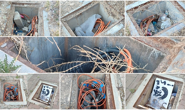 Urfa'da pes dedirten hırsızlık