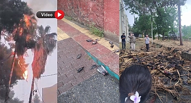 Urfa’da yıldırım düşen ağaç küle döndü! Çok sayıda kuş telef oldu