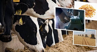 88 Milyon Liralık Destekleme Ödemesi Çiftçilerin Hesaplarına Aktarıldı