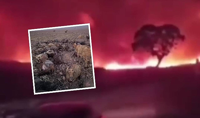 Açıklama Geldi! Diyarbakır Ve Mardin’de Ki Yangının Sebebi Elektrik Mi? 