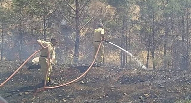 Bozova İlçesinde Yangın! 40 Yıllık Çam Ağaçları Kül Oldu
