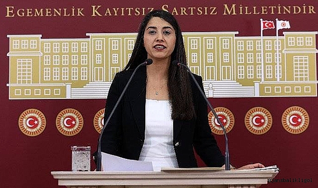 DEM Parti Vekili Dilan Kunt Ayan'dan TMO'ya fiyat tepkisi