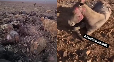 Diyarbakır'daki Yangında Ölü Sayısı Yükseldi