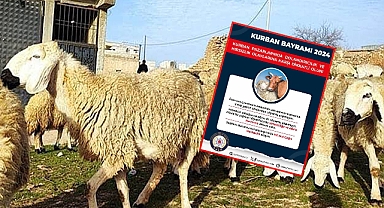 Emniyet Uyardı! Kurban Alışverişine Dikkat 