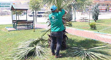 Haliliye Belediyesinden 6 Parkta Hummalı Peyzaj Çalışması