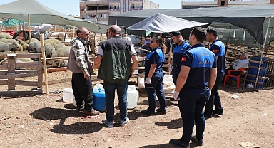 Haliliye’de Bayram Öncesi Kapsamlı Denetimler Sürüyor