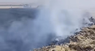 Hilvan'da ekili arazide büyük yangın!