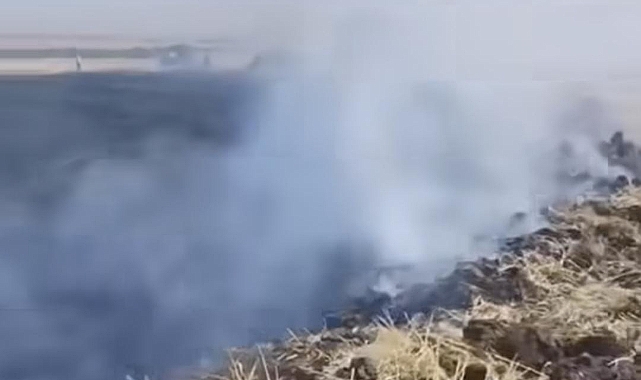Hilvan'da ekili arazide büyük yangın!