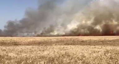 Hilvan’da Ekili Arazide Çıkan Yangın Büyük Zarara Neden Oldu!