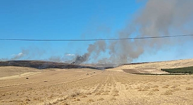 Şanlıurfa'da Arazi Yangını! Hızla Yayılıyor