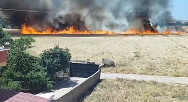 Şanlıurfa'da Buğday Ekili Tarlada Yangın! 