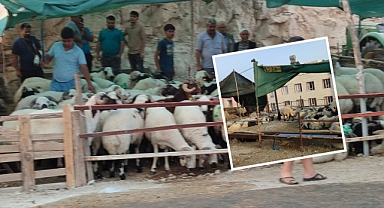 Şanlıurfa'da Kurban Satıcıları Umduğunu Bulamadı 