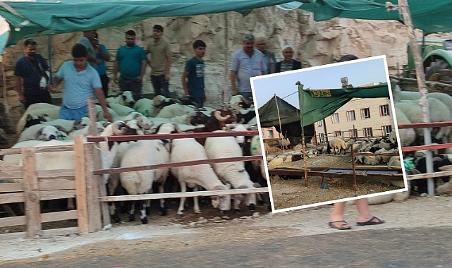 Şanlıurfa'da Kurban Satıcıları Umduğunu Bulamadı