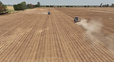 Şanlıurfa’da Mısır Ekimi