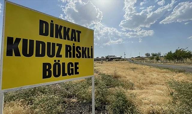Şanlıurfa'da Kuduz Vakası! Mahalle Karantinaya Alındı