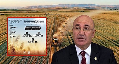 TMO Hububat Fiyatlarını Açıkladı! Tepkiler Çığ Gibi Büyüdü