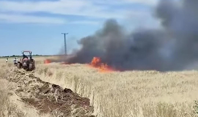 Urfa'da buğday tarlası küle döndü