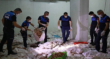 Urfa’da Depo Baskını: 10 Ton Kokmuş Tavuk Eti Ele Geçirildi 