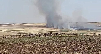 Urfa’da Ekili Tarlada Yangın Çıktı!