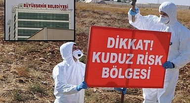 Urfa’da Kuduz Vakası! Bir Mahalle Karantinaya Alındı