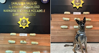 Urfa’da Yüklü Miktarda Uyuşturucu Ele Geçirildi! 1 Gözaltı 