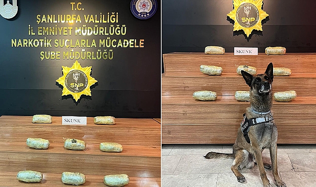 Urfa’da Yüklü Miktarda Uyuşturucu Ele Geçirildi! 1 Gözaltı 
